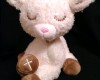 Baby Lamb Gift Idea