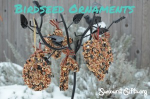 Birdseed Ornaments for Bird Lovers Gift Idea