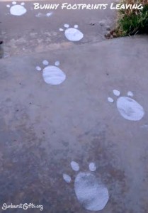 Bunny-footprints-leaving-gift-idea-sunburst-gifts