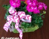 flowering plant basket