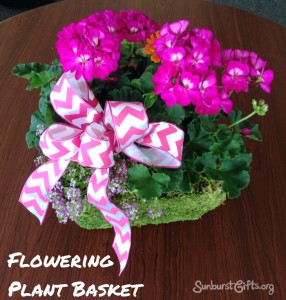 flowering plant basket