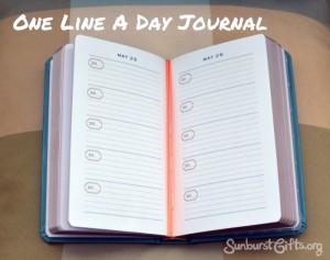 one line a day journal