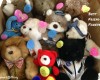 Bears-Best-Friend-Forever-gift-idea-sunburst-gifts