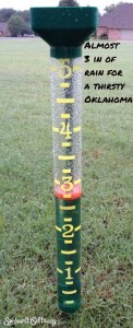 rain gauge