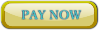 pay now button