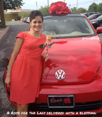 rose-with-blessing-delivery-and-rosie-vw-thoughtful-gift-idea