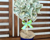 money-tree-topiary-cash-gift