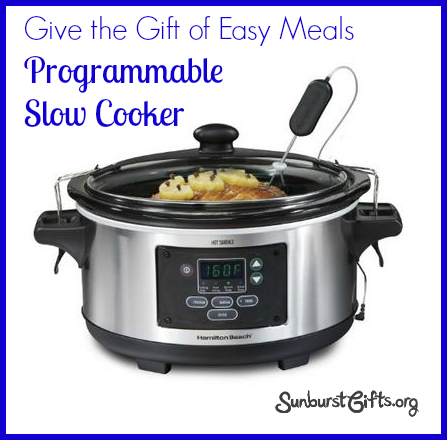 Easy Meals With Programmable Slow Cooker