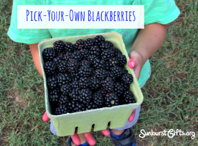 pick-your-own-farm-blackberries-gift