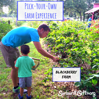 pick-your-own-farm-experience-gift