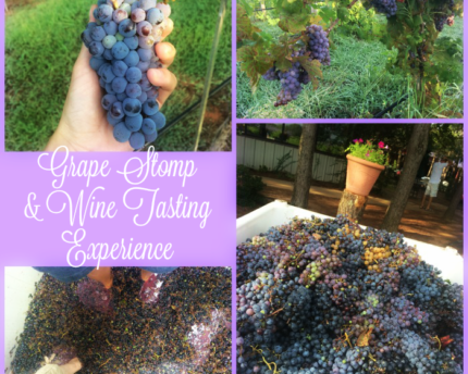 grape-stomp-wine-tasting-vineyard-experience