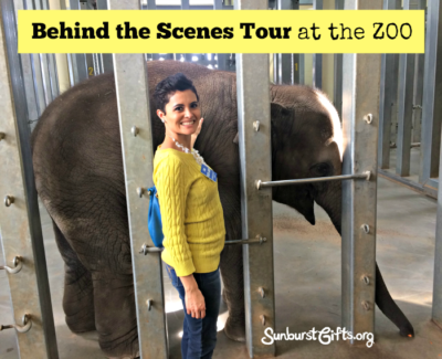 behind-scenes-tour-zoo-experience