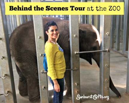 behind-scenes-tour-zoo-experience