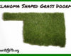 oklahoma-shaped-grass-door-mat-thoughtful-gift-idea
