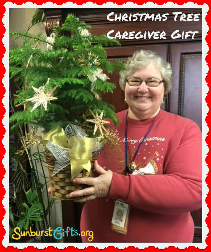Small Living Christmas Tree | Caregiver Gift