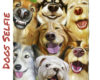 Dogs-selifie-throw-blanket-thoughtful-gift-idea