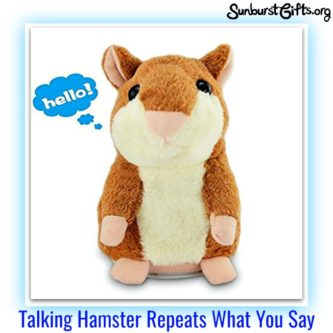 Talking Hamster Repeats What You Say