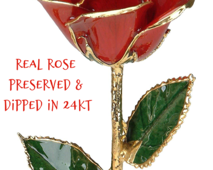 rose-preserved-dipped-24kt-thoughtful-gift-idea (2)